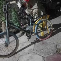 بايسكلات • حجم ١٢ • حجم ٢٠