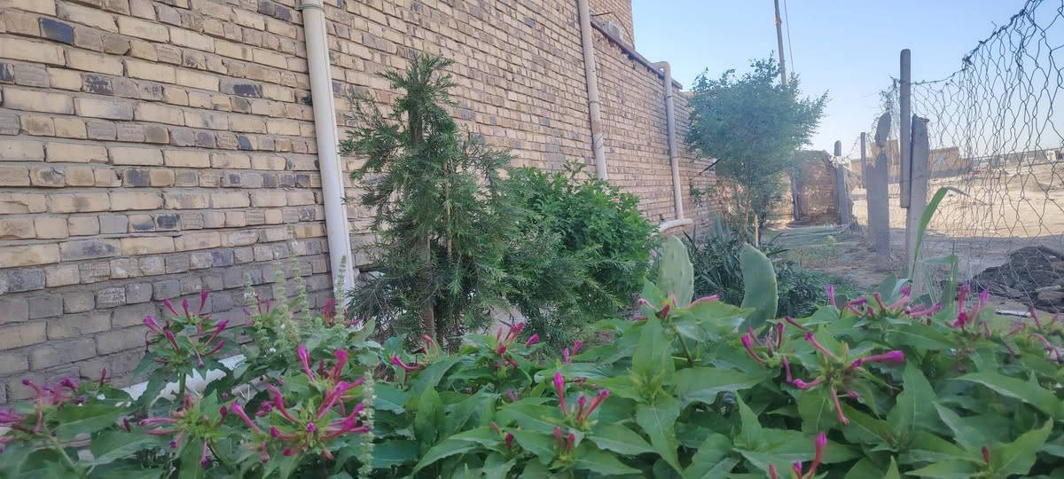 *بيت طابو للبيع
*يتكون البيت من طابقين 

*المكان ناحية الفضليه شارع المحطه 

*المساحه 312 م البيت ركن 

*يتكون الطابق الاول من غرفتين 4×5 م و صاله 9×4م و ديوانيه 10×4 م و هول 5×6 م  و استقبال و ترك و منور 

*و يتكون الطابق الثاني من غرفتين و بنفس المساحه و صاله و مطبخ و صحيات و ساحه 9×4م الاستفسار الاتصال على ***********
