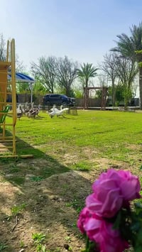 مزرعه لارا للايجار اليومي 07749966611واتس متوفر على مدار الساعه