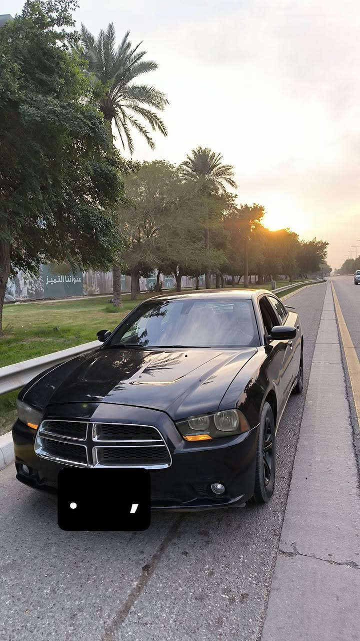 جارجر 12 
رقم اربيل بأسمي 
مصبوغ حزام للجماليه جارد صبغها 
ضررها دوست الباب السكن صاعده رصيف 
***********
