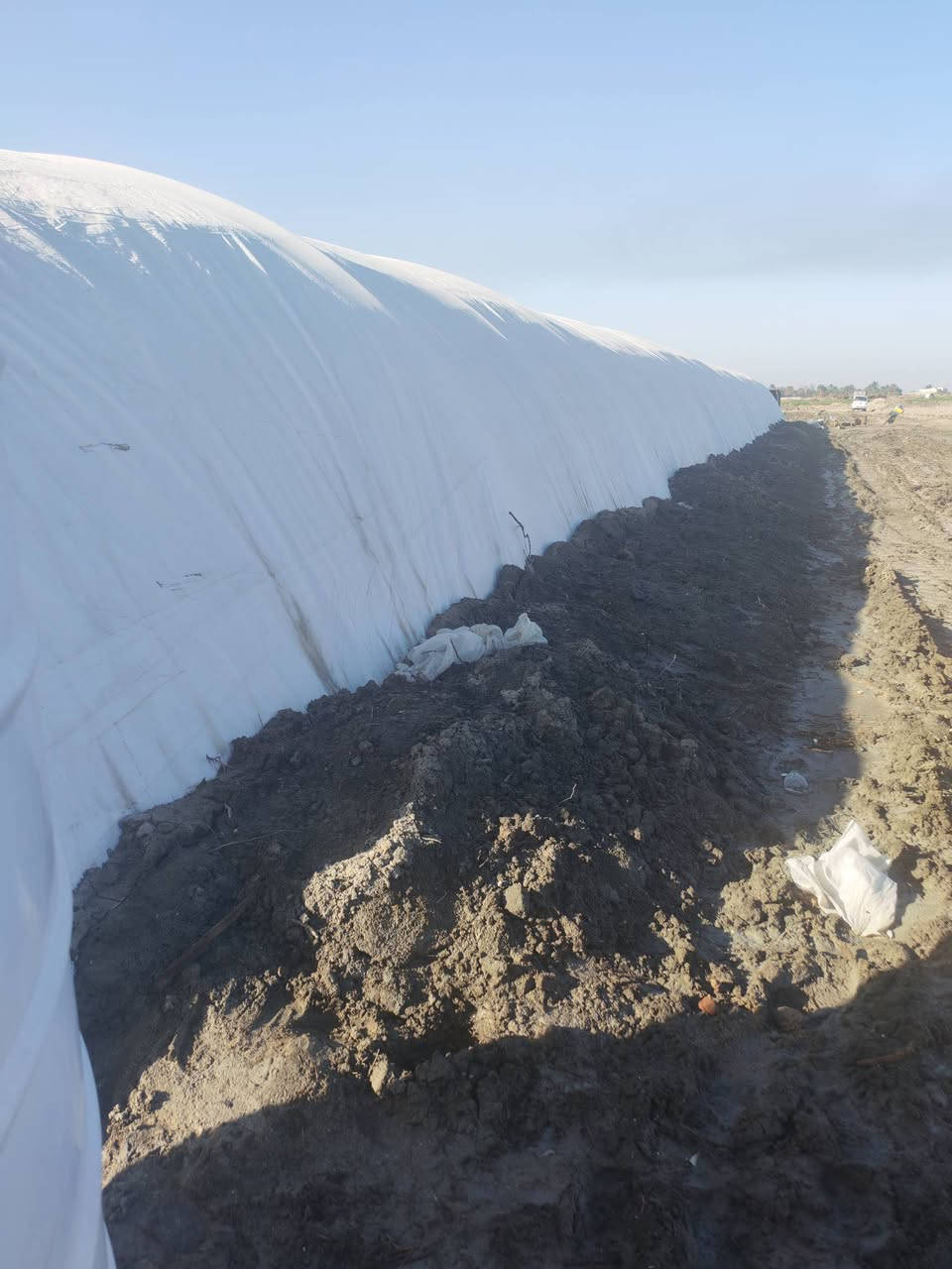 سلام عليكم اخوان حقل للبيع مستخدم وجبتين فقط بعد كله جديد الله شاهد الطول 60  العرض 9 حديد لبناني مليمين مستخدم فقط الحديد، 1_جادر عازل سعودي بعده كلش جديد وياه كارت ضمات 5 سنوات وهاي اله 4 اشهر من استلامه  مع خطوط ماء نيبل اوتماتيك الخط 3 وخزنات ماء 3 الوحده على 5 طن على 60 الطول  مع 150 علافه مع 10 حاضنات مع مفرغات 5 حجم 80 و2 حجم 140 و2 حجم 60 مجموع 9 مفرغات شبابيك المنيوم  مع مولد كيا جديدهه
مع كرفان 5 في 10 غرفه مع مطبخ
مع ضفيره كهربات 400 متر خطين سمك 50
السعر 25 مكاني بصره ***********
ملاحضه البيع كله
