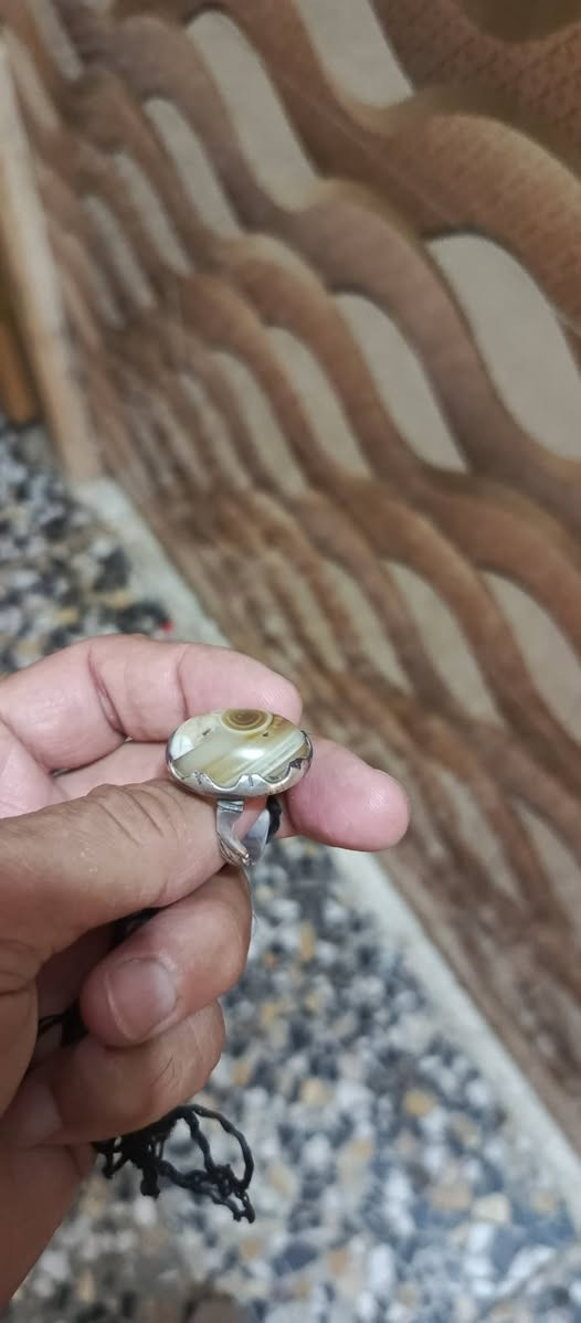 سليماني لبيع او مراوس بسبحه ناعمه 101


**إذا كنت صاحب هذا الإعلان وتريد حذفه لأي سبب، رجاءا أرسل رسالة إلى الدعم الفني**