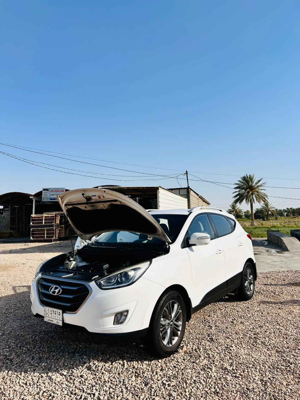 توسان خليجي 2014
ماشية 160
مكاني بابل 
للاستفسار 

‭0771 197 9983‬
