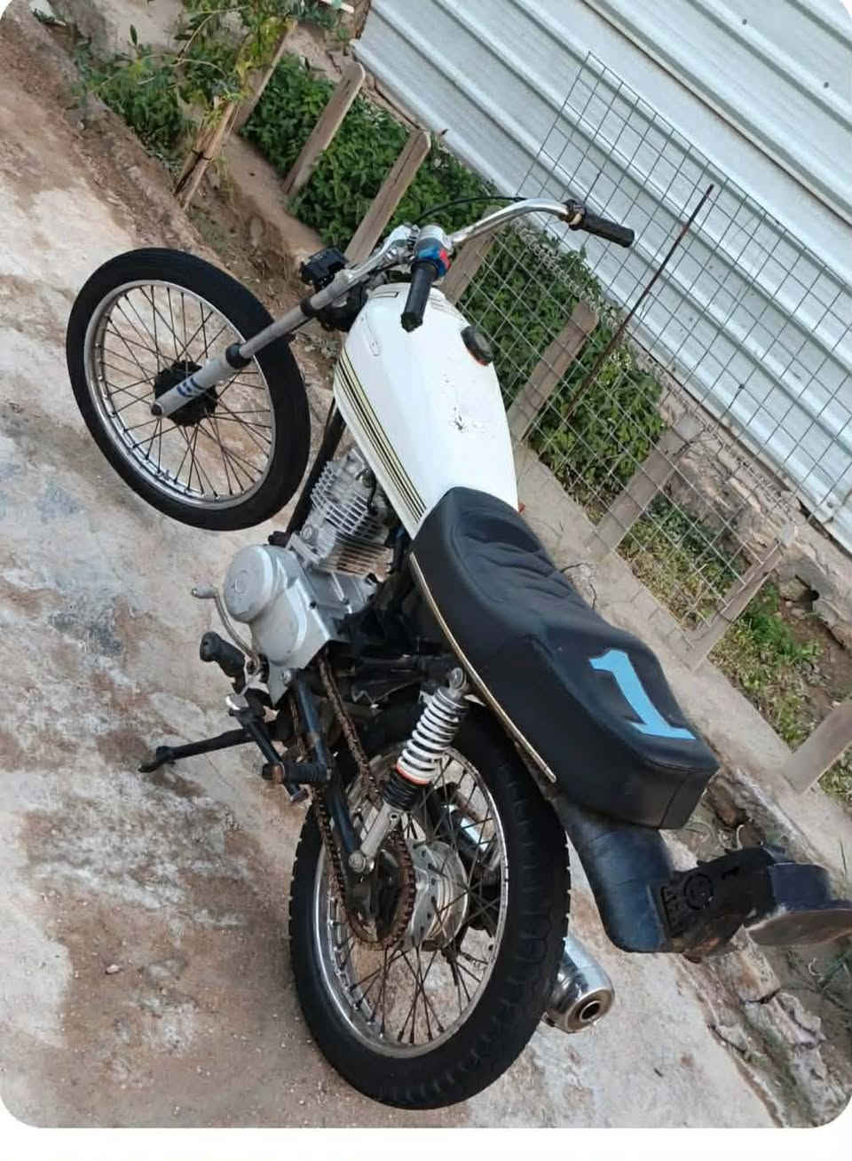 سلام عليكم عمي مراوس بستوته كلكك واذا ستوته شايله روحه اطيك 100فرق😂😂
دراجه تعمير كله24كلكك شرط ادك 120ماتزلمه تاخذك وتشرد وعلي😂😂


**إذا كنت صاحب هذا الإعلان وتريد حذفه لأي سبب، رجاءا أرسل رسالة إلى الدعم الفني**