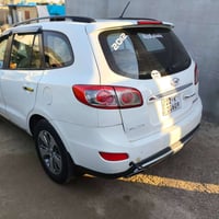 فول الفول • ٢٤٠٠ • رقم اربيل