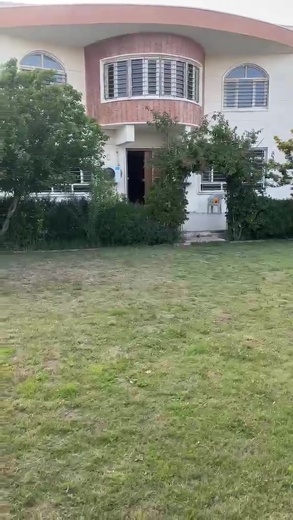 الاستفسار ***********
