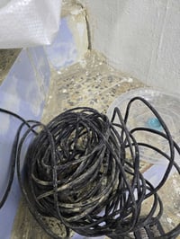 نانو • واير • الكوفة