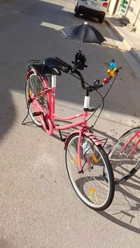 باسكل • وردي • ٢٦