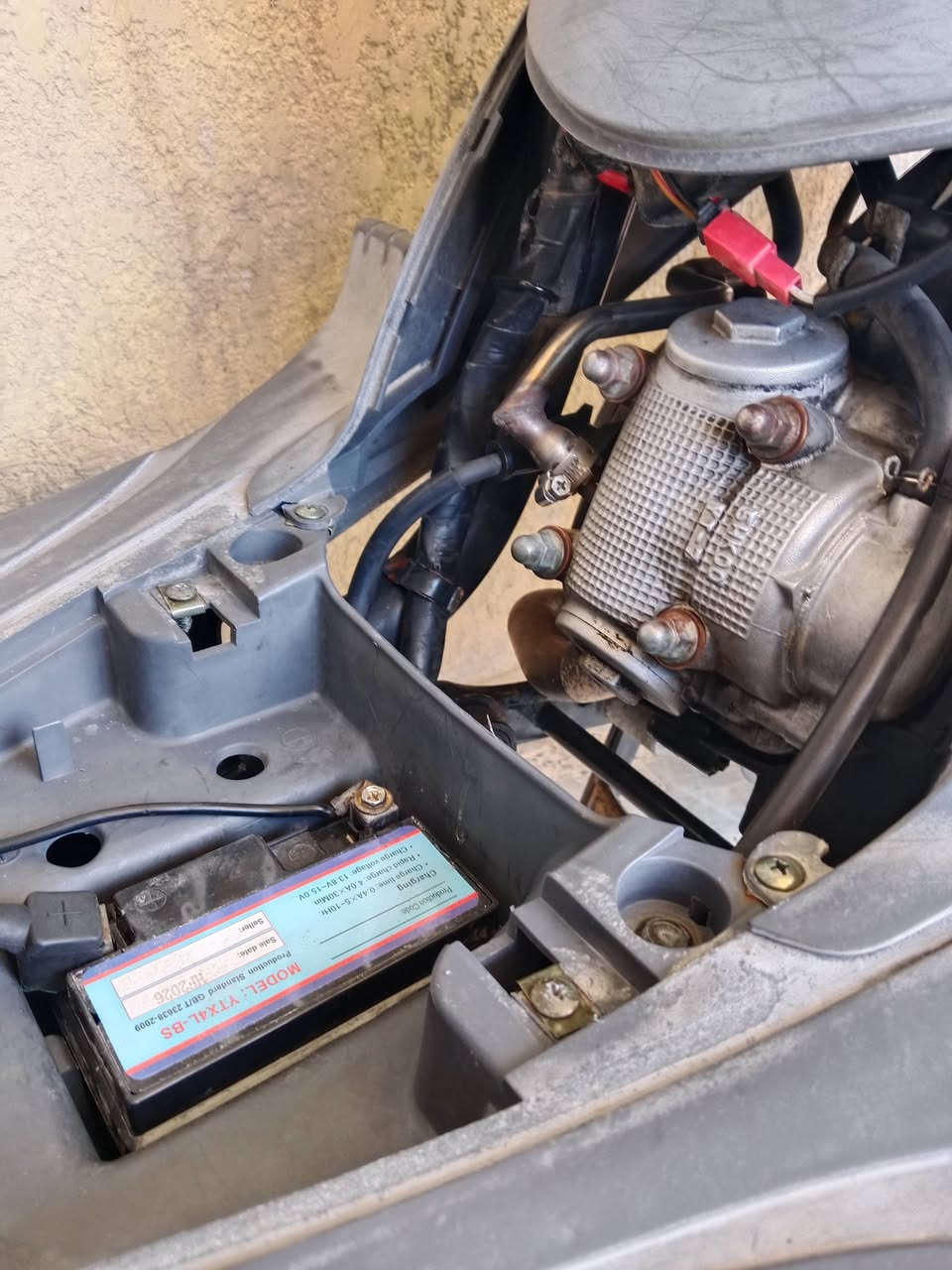 دراجة ماكس منغولي مكفولة وصل معرض موجود ***********
