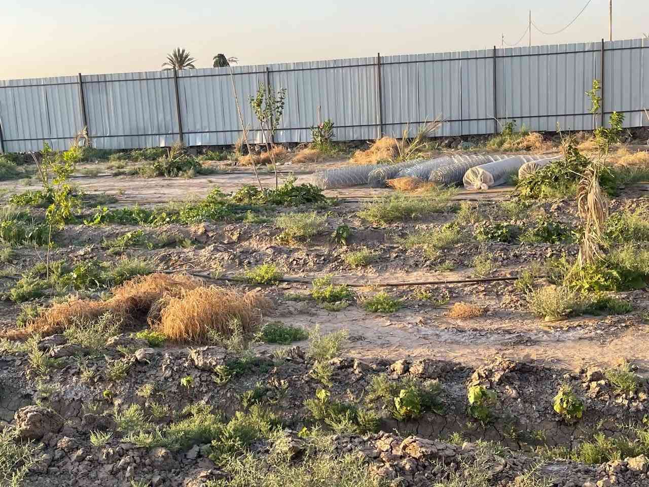 السلام عليكم
قطع اراضي طابو زراعي سند ٢٥ الموقع الشافعية قرب السيد مجيد تتوفر كافه الخدمات ماء كهرباء تبليط وبمساحات مختلفه والاسعار تنافسيه جدااا للتواصل الاتصال *********** او مراسله واتس اب وكما موضح في الصور.
