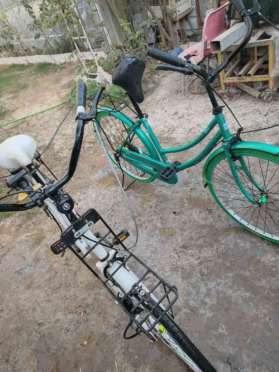 السلام عليكم
بايسكلين للبيع
الزيتوني تعمير البايسكل نقصه بريك امامي فقط والبايسكل مرتب وحلو شركة BD
البايسكل الثاني الابيض البايسكل مجمبزه وكامل نقصه فقط ركبه اماميه سعره 2000 دينار فقط اما باقي كامل مكمل شركة سانتوس البايسكلات حلوات واسعارهن كسر وثنيهن جايبلهن تايرات و جوابه جدد جديدات كلش وهنه متروكات صارلهن هواي 
الزيتوني سعره 70 وبي مجال
والابيض سعره 100 وبي مجال بسيط واذا ثنينهن اذبلكم من السعر. 
المكان: نجف كوفه 
للاستفسار: *********** بي واتساب
