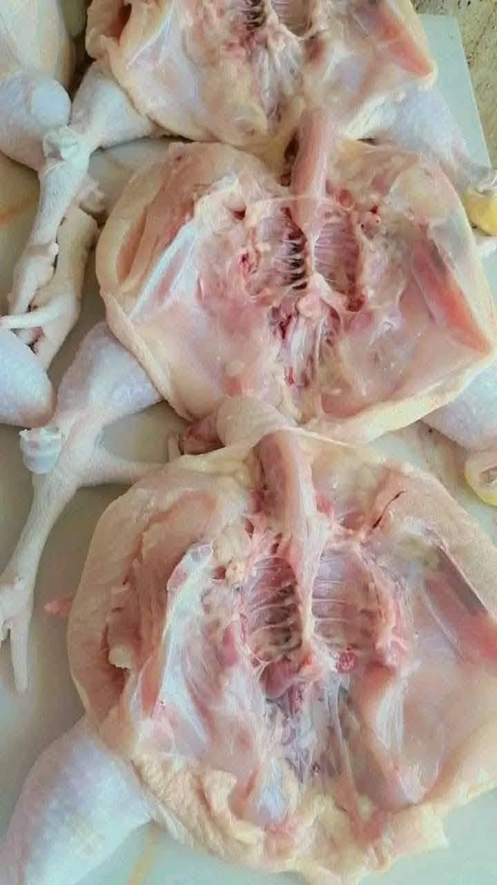 🐔 السعاده للدجاج الحي

💥 أسعار الدجاج الحي

🐓 معدل 1700 غم — 7,000 

🐓 معدل 2 كغم — 8,000 

🐓 معدل 2.5 كغم — 9,000 

🍗 أسعار التقطيع

صدر — 5,000 

فخذ — 5,000 

أجنحة — 4,000

كبد — 5,000 

حواصل + كبد — 4,000 

أركاب — 1,500 

صدر مسحب ــــ 7,000

للأتصال بنا 👇👇🤳
***********  /  ***********
✨ طازج يومياً • أهلاً وسهلاً بكم

📍 كوت خاجيه - نهاية شارع 40 - مجاور مخبز الصادق / مقابل ماركت حسين القريشي

