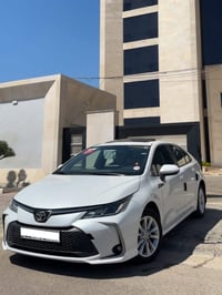 كورلا ٢٠٢٤ • رقم اربيل • خليجي