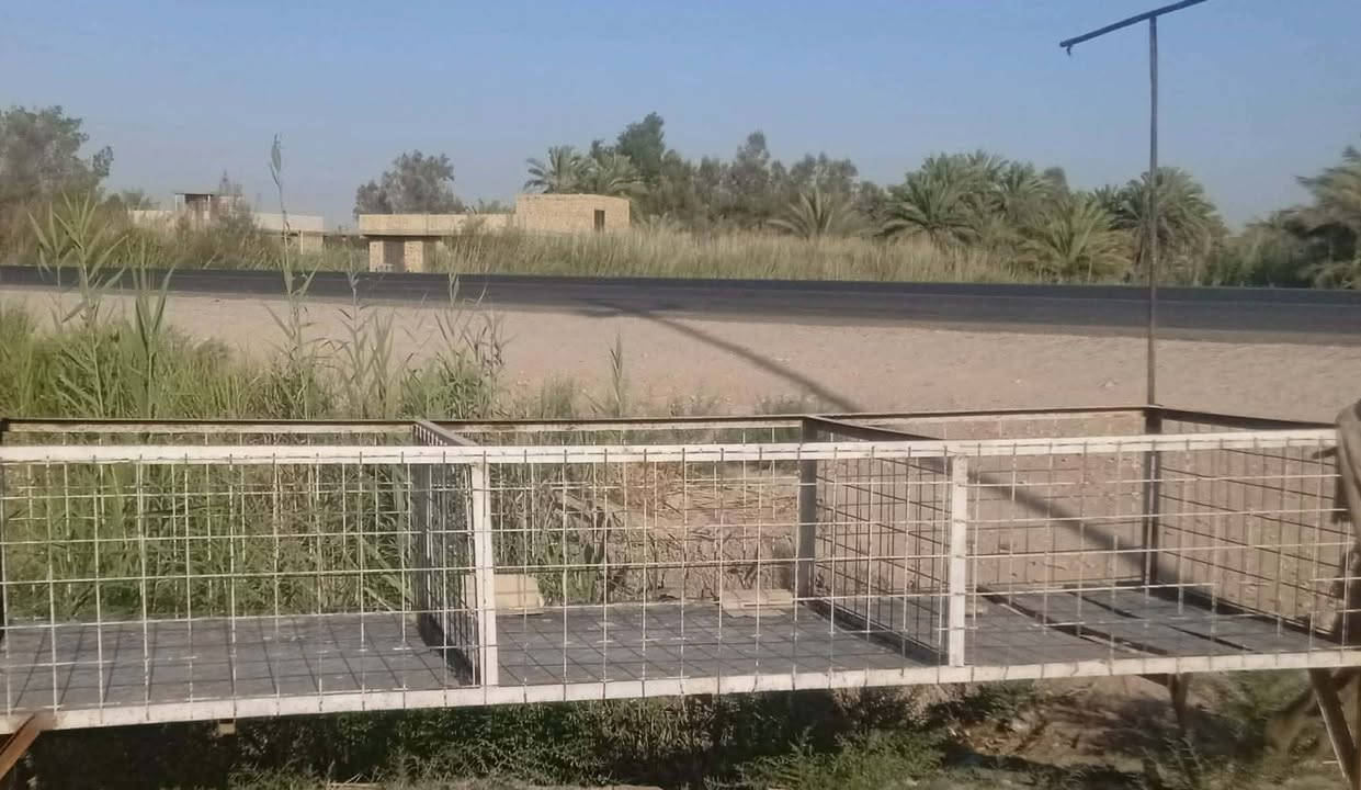 سلام عليكم.  قفص حديد ثقيل للدجاج
الطول 3 متر والعرض 1متر  الارتفاع فوق المتر 

العنوان الديوانية قضاء المهناويه    
    الاتصال على هذا الرقم   ‏‪***********‬‏ 
او مراسلة الصفحه
