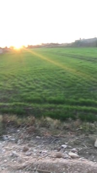 ٤ دونم • طابو زراعي • الكفل أم نعجة