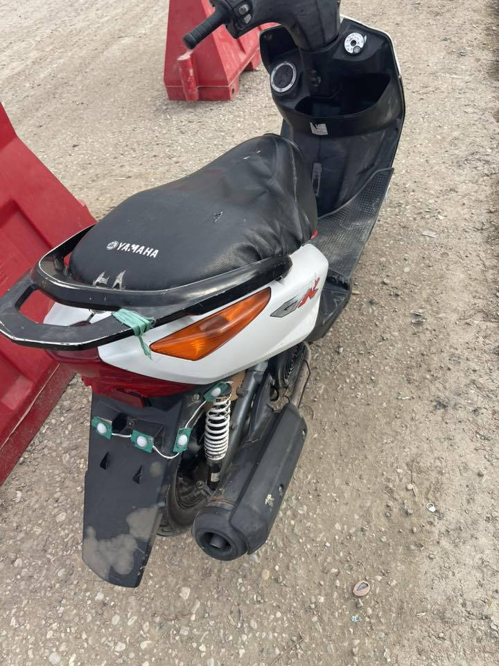 ماكس ثعلب للبيع  ***********
