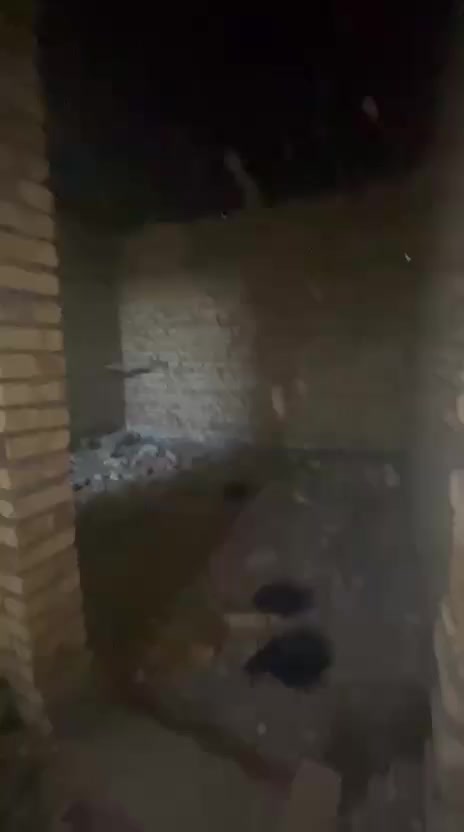 هيكل للبيع مساحه 100 متر سند 25 قرار محكمه تحويل مباشر البيت بأسمي تحويل كبل للمشتري
عنوانه/ صكبانيه  وره سيطره قرب ملعب الفرسان

سعر ٤٥ وبي مجال بسيط
للاستفسار الاتصال ع رقم ***********
