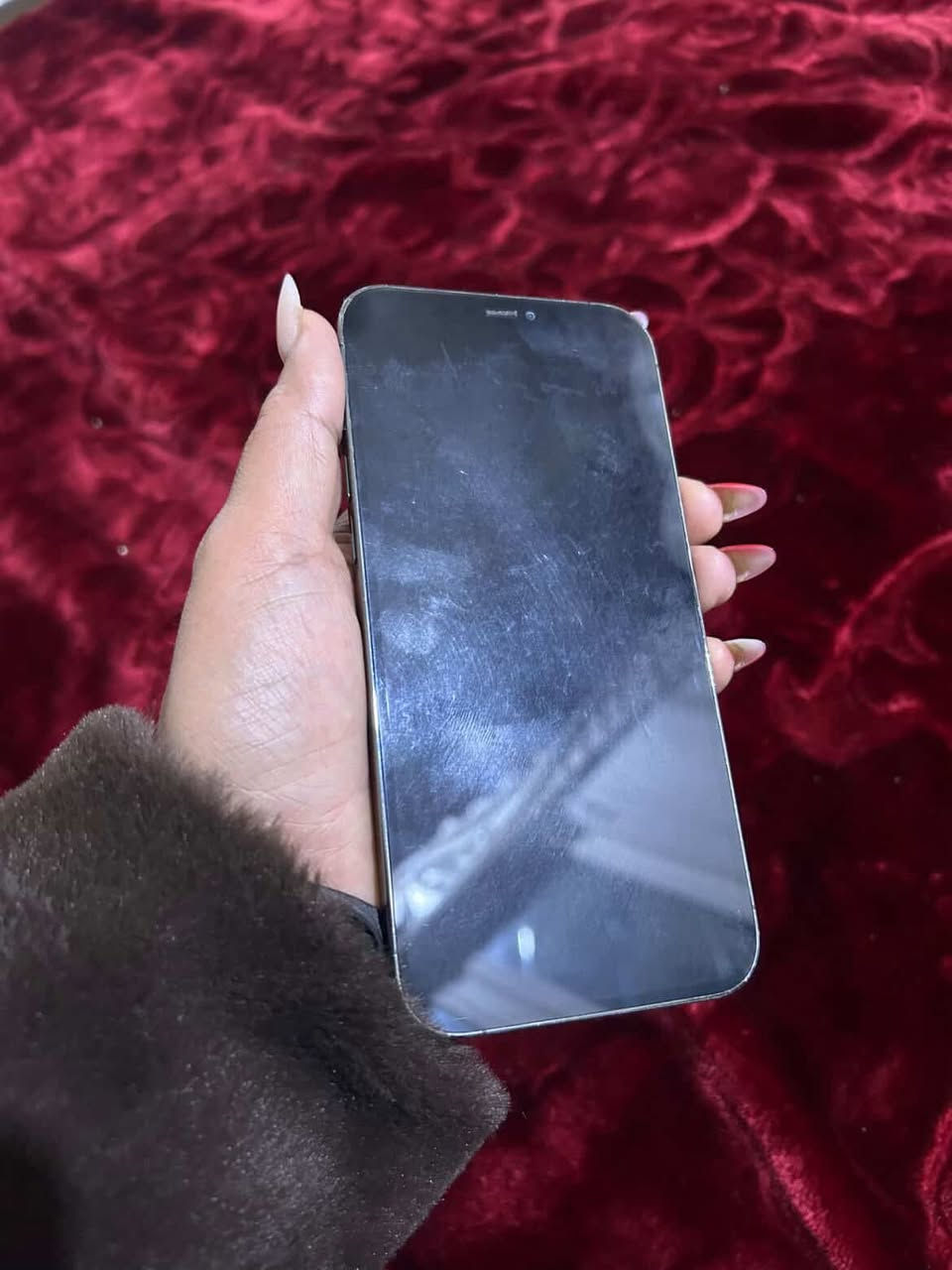 ايفون 12 بروماكس
ذاكرة 512
باتري 92
مكفول كفاله عامه فقط ضهر بي فطور
بدون ملقحات
تفاصيله موضحه بالصور

السعر 450 وبي مجال

عنواني دوره البوعيثه
***********
