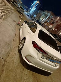 شد صيني • ٢٠٢٥ • بصره