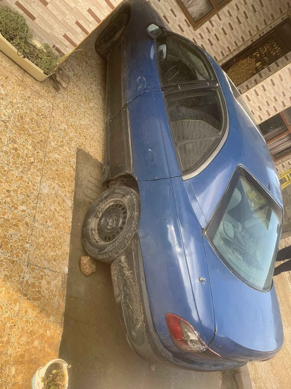 أوبل وميكا بزون.  سعر 18
***********

***********
