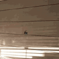 إنَّ اللّٰه يُحِبُّ أنْ يُحمَد 🤍 .  الحمدُ لله دائمًا وأبدًا ✨.   م̷ــ...