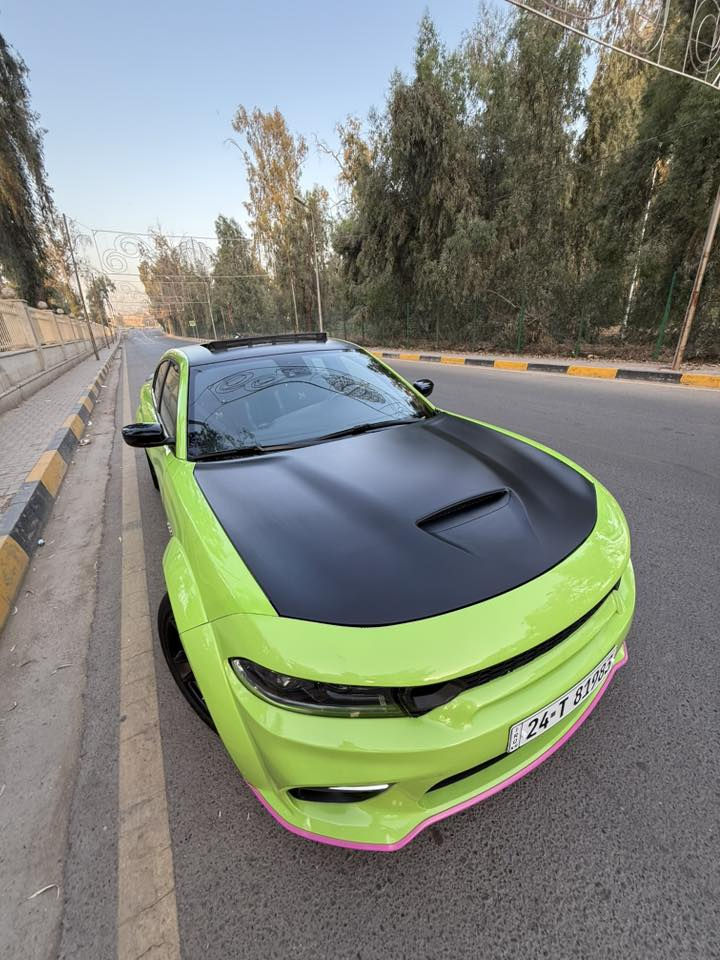 السلام عليكم شباب
دوج اتجارجر سكات باك وايد بدي موديل 2023 للبيع
مواصفات فول الفول اعلى فئه 
السياره تو كلر من امريكا اسود واخضر 
السياره بأسمي تريد وكاله تريد تحويل 
فتحة سقف 
رادار امامي 
رادار جانبي 
بصمه 
تشغيل عن بعد
شفتات ستيرن
كامرا وحساس اصل
كشنات خزن ميموري 
كشنات تدفئه تبريد 
كشنات الاماميه فول كهرباء ثنينهن 
مودات srt 
ويال 20 وايد بدي اصل 
تخم تاير كلش نضيف 
فجوج سته بستم الامامي والخلفي اربعه
ماشيه 22 الف مايل 
بيه تصليح بالبنيد نفسه ما يقارب شبرين ومصبوغ على كد التصليح فقط 
الايرباك طاك وراجع سستم شغال كامل ومبدل دشبول اصلي مالت سكات باك مع كبسوله كامله يعني الارباك شغال بلادي
دركه بيه srt مالت هيلكات اصليه 
عليه شوته موفتوحه
عليه ولف حماوه 82 
السياره فقط برمجه حماوه والباقي ملفه ستوك حتى الحجر موجود بيه 
بيه تصليح بسيط بالشاصي الايمن فقط 
مكان السياره بابل 
كل التفاصيل مذكوره 
صور الحادث بالمنشور
للاستفسار اكثر الاتصال 
***********
