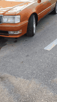 راس الثور • نجف • سنوية ل٢٨