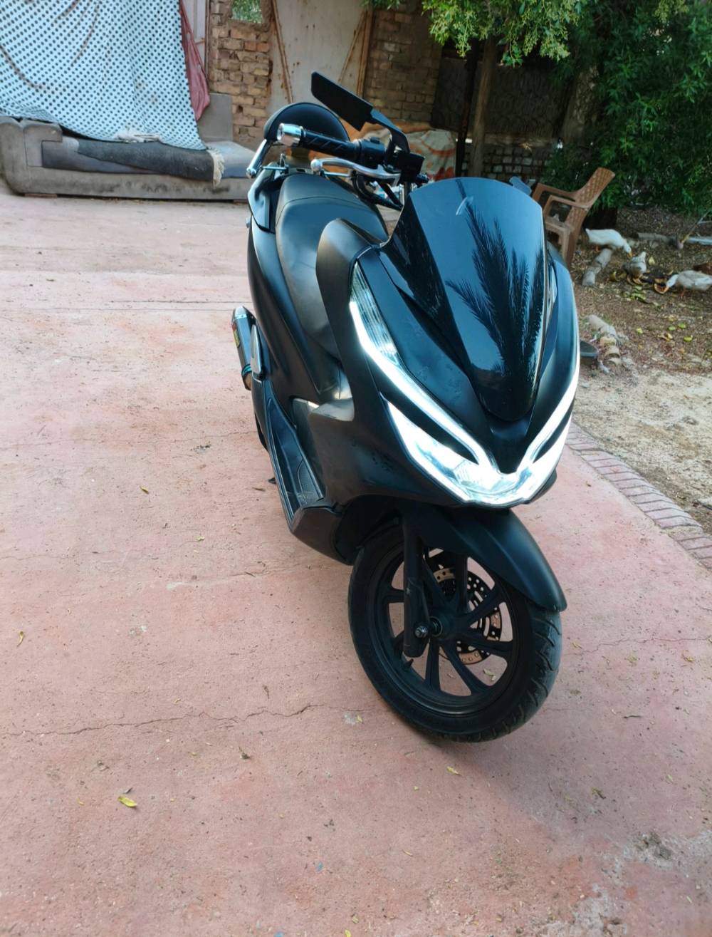سلام عليكم 
Pcx  جيل الثالث
 كفاله عامه مال جناي الله شاهد دهن امزويل بانزين كله محسن بيهه صالنصه رياضي والبلادية موجوده  دراجه تتعب تكول جديده معدل 120 شرط
مسويله ادامه كامله تخم تاير 
رايده ب12 وبيه مجال بسيط
مكاني مدينة الصدر رقم ***********
