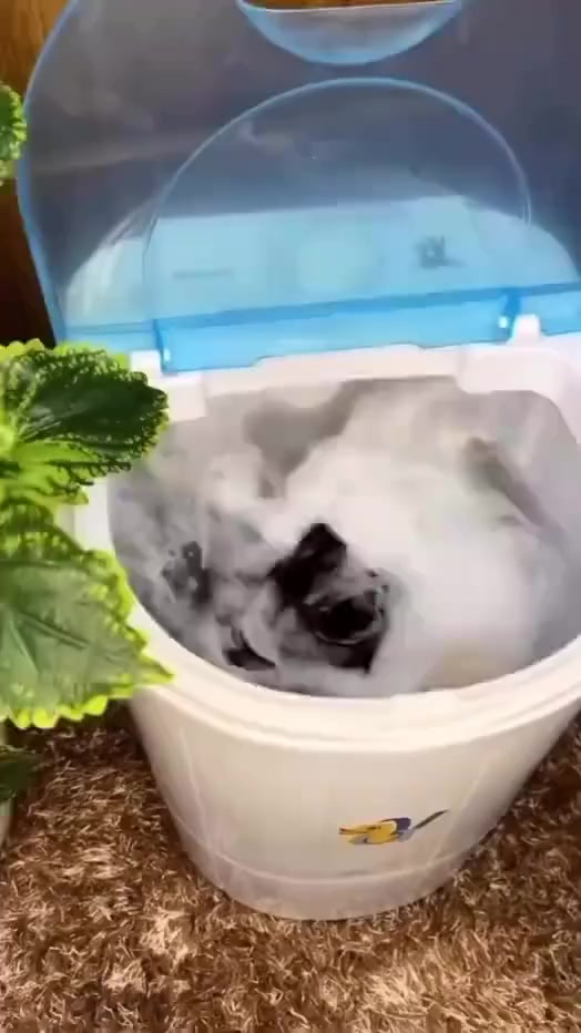 اغراض بيع


**إذا كنت صاحب هذا الإعلان وتريد حذفه لأي سبب، رجاءا أرسل رسالة إلى الدعم الفني**