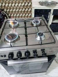 طباخ • عشتار • شغال