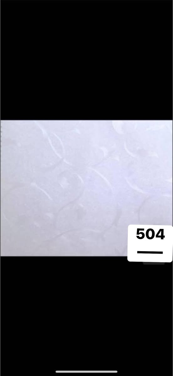 سلام  عليكم ..!!
سلام عليكم .!!!
يتوفرجدار تغليف ايراني   بالالون عده وكميات خير من الله ❤️😍
(والاسعار جدا مناسبه  جمله فقط جمله فقط )
ويتوفر ايضا مفرد 
عنوان  -بغداد - جسر ديالى 
ويتوفر توصيل كافت المحافضات   للجمله فقط 
***********يتوفر واتساب ايض
