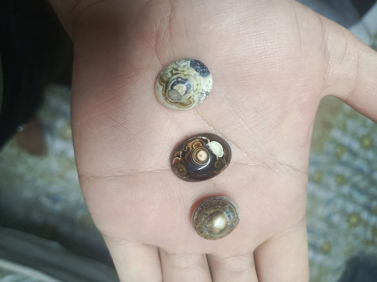 للبيع


**إذا كنت صاحب هذا الإعلان وتريد حذفه لأي سبب، رجاءا أرسل رسالة إلى الدعم الفني**