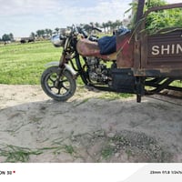 ستوته • شنافيه • بلا نقص