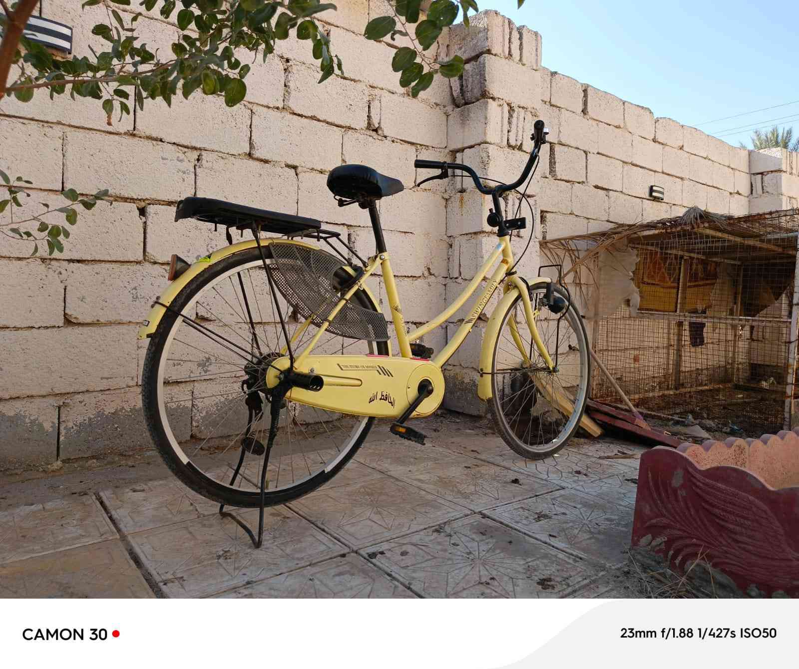 بايسكل بناتي حجم 26 كربلاء حولي شارع أبو مهدي المهندس السعر125وبيه مجال حك الجيه...


**إذا كنت صاحب هذا الإعلان وتريد حذفه لأي سبب، رجاءا أرسل رسالة إلى الدعم الفني**