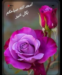 سكرتيرة • شركه عقارات • الكراده بغداد