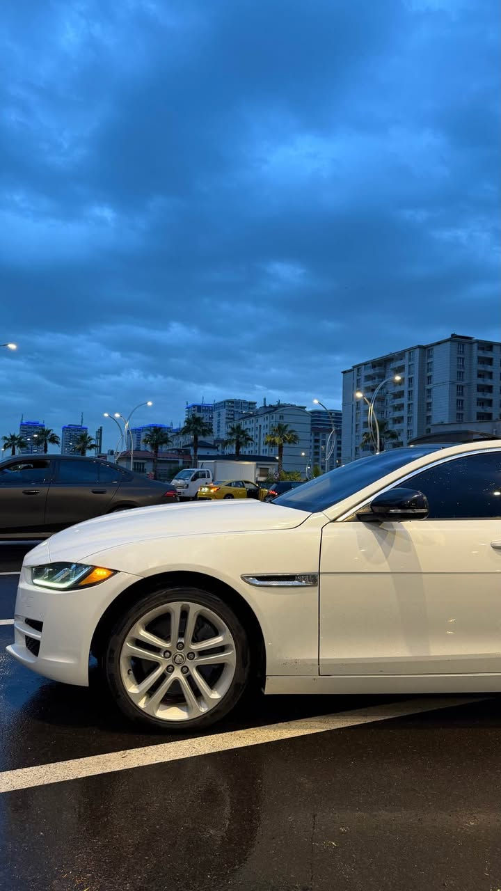 Jagwar Xe premium 2017
فرۆشتن و گۆرینەوە
٢٠تۆربۆ  حەجمی بچوک مەرخوب
سیارەکە فوول فوول مواسفاتە 
٢پارچە تەنها کلیرە بی ژۆری بی ئیرباگ
گیر مکینە بەشەرتە 
زۆر زۆر خاوین و ریک وپیکە سیارەکە 
٧٠مایل رۆیە سیارەکە
لەسەر قەدی شەریکە ماوە زۆر لۆک و خاوینە ماشااللە
لەو مۆدیل و مواسفاتە زۆر کەم هەیە وەک ئەوە خاوین مابیت 
ژمارە مۆبایل
***********
بیع و مراوسة
جاگوار ئیکس ئی پریمیوم 
٢٠تۆربۆ حجم مرخوب
سیارە فوول فوول مواسفات
بیها ٢قتح مسبوخ بدون دواخل بدون ئیرباگ
گیر محرک بشرت
کلش حلوو مناسب سیارە
ماشی ٧٠مایل
سیارە حلا وەزع شریکە 
رقم موبایل
*********** أربيل, العراق
