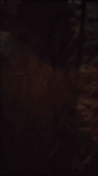 سلام عليكم ورحمه الله وبركاته 

دراجه سكنز للبيع موديل2022
مكينه جديده مامفتوحه بك لايت اشاير عداد سرعة عداد بأنزين كله شغاله كهربائيات بل كامل يشتغلن بريكات امامي خلفي شغالات قفل ستيرن قفل جوزه تخم تأير جديد دبلات 4 شغالات لايت عالي ناصي رماش لد شغال جك صفح جك نص جدد دراجه جديده ماعايزه برغي سعر 325وبيه مجال مكان الديوانية قضاء المهناويه لاستفسار ***********
