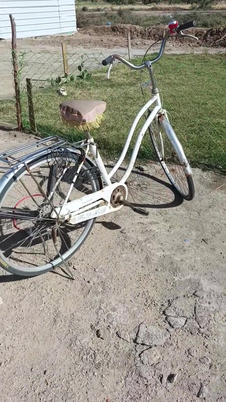 بايسكل للبيع حجم 27 السعر خاص


**إذا كنت صاحب هذا الإعلان وتريد حذفه لأي سبب، رجاءا أرسل رسالة إلى الدعم الفني**