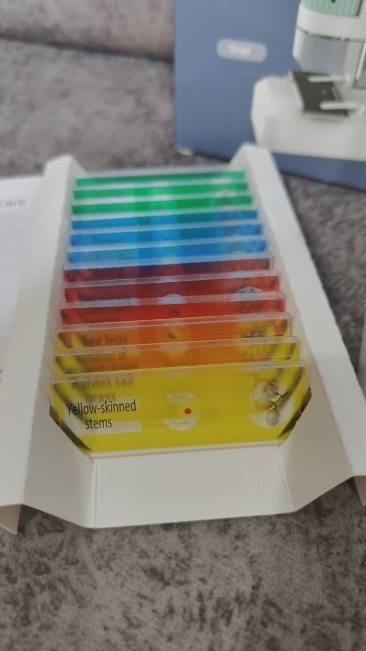 #مجهر_اطفال
مع 12 نموذج للفحص
#السعر10


**إذا كنت صاحب هذا الإعلان وتريد حذفه لأي سبب، رجاءا أرسل رسالة إلى الدعم الفني**