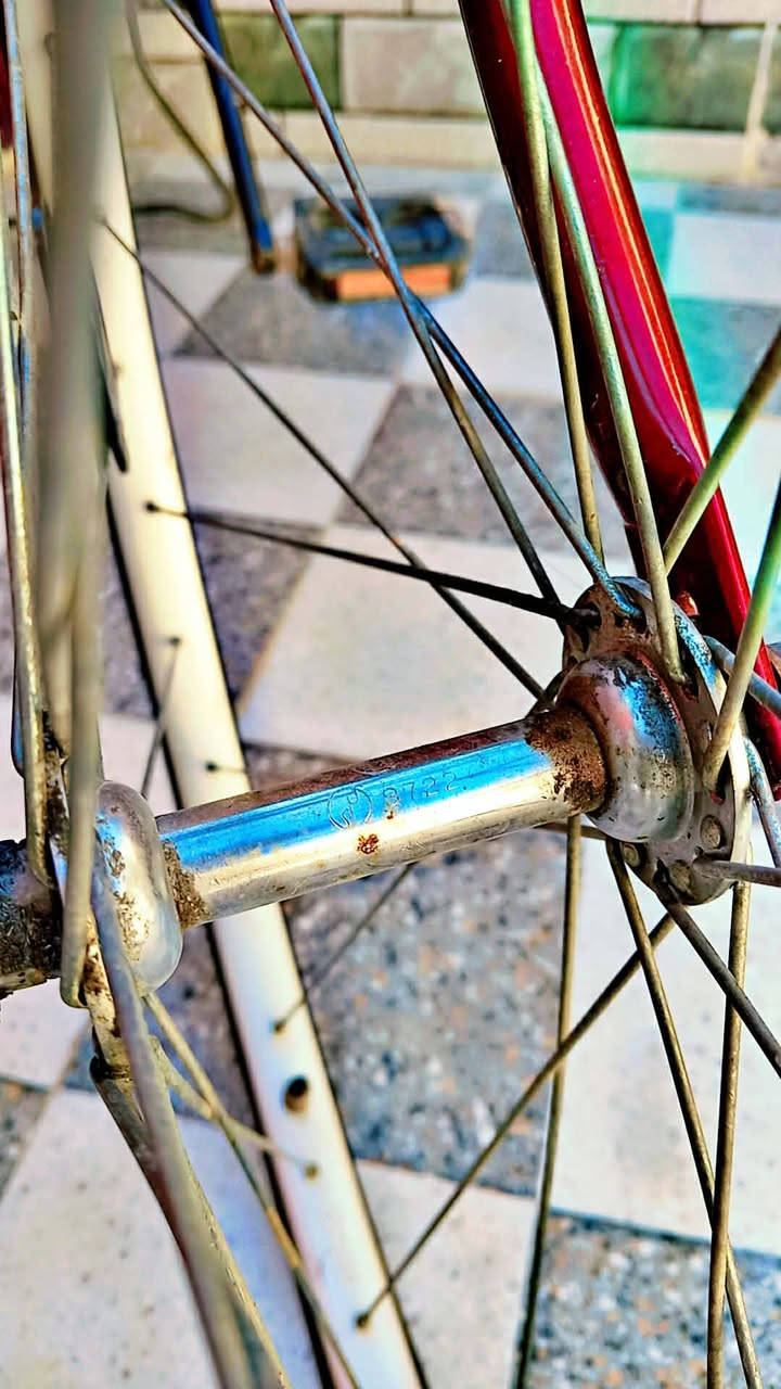 سلام عليكم باسكل للبيع حلو ونضيف كلش الباسكل جديد مكفول كفاله عامه الجاملق عندي ضامه السعر 150 وبيه مجال  الباسكل حاويه للشراي الستفسار علا الرقم واساب (‏‪***********‬‏)  مكلف بل نشر مكاني ناصريه قضاء قلعه سكر
