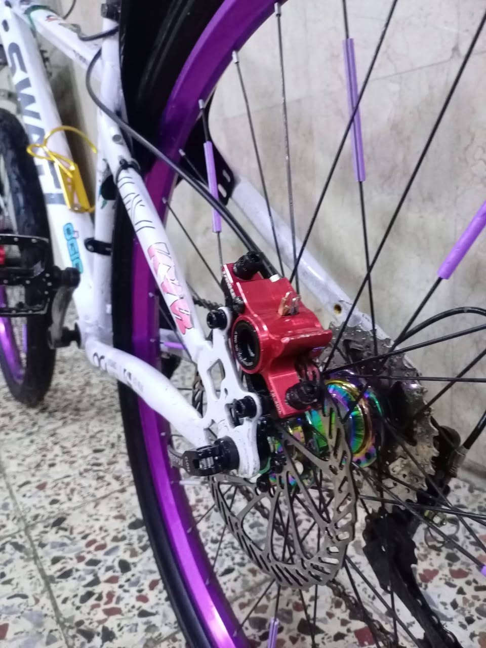 السلام عليكم بايسكل استعراضي للبيع نضافه100/100 التزويد
ستيرن استعراضي
بريك هايدروليك 
بطيخه سبع اللون زوج (امامي مشادة موجودة) 
دشلي 10 (غير هذا حجم كبير) 
عقرب شفتر 
السعر 275 وبي مجال المو شراي لا يكسر بالسعر 
مكاني قرب مركز شرطه الجعيفر  الاستفسار على هذا الرقم ***********
