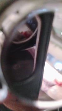 ماكس منغولي • بوشه ٥٥ • سلف