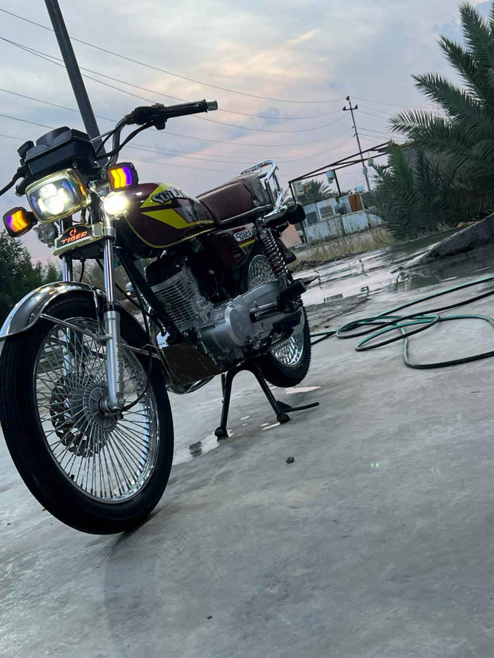 تايگر 2024 أوراق مكان ناحيه النيل
***********
