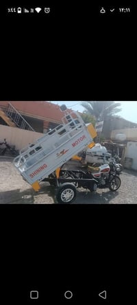 ستوته ٢٠٢٤ • محرك شرط • ٦ أوراق دلي عباس