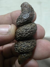 لوي بحري • متفرقات