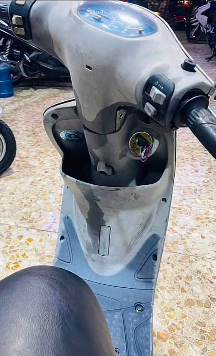 منغولي للبيع  رمبه نضيفه كلش صارلها شهر وياها كفر البصوره مكفوله مكينه وكهربائيات نهضه ومعدل


**إذا كنت صاحب هذا الإعلان وتريد حذفه لأي سبب، رجاءا أرسل رسالة إلى الدعم الفني**
