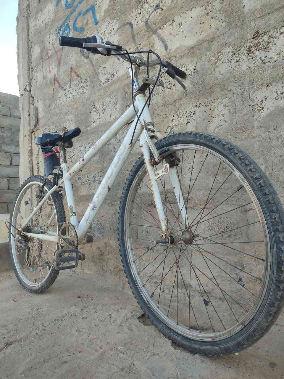 متاح حجم 26 شرط كله شقال كير مكينه السعر 65 وبي مجال عنوان قوسيات


**إذا كنت صاحب هذا الإعلان وتريد حذفه لأي سبب، رجاءا أرسل رسالة إلى الدعم الفني**