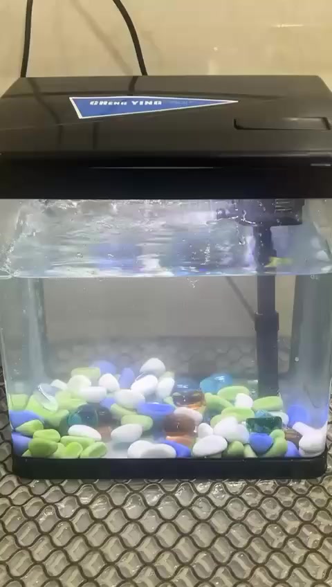 حوض مال سمك حجم صغير فلتر وماطور شغال ماخذي جديد السعر ٢٥ العنوان بغداد صليخ


**إذا كنت صاحب هذا الإعلان وتريد حذفه لأي سبب، رجاءا أرسل رسالة إلى الدعم الفني**