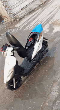 ثعلب بلادي دراجه حلوه ونضيفه ومعدل قوي....وبيهه دمام... الدراجه نكره س...