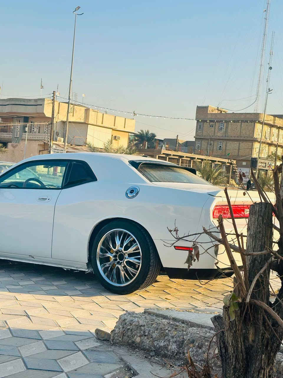 دوج جالنجر
2010
هيمي  5700
كير محرك مكفول
رقم بغداد
حادثه طخه بجاملغ الامامي وبيهه طخات صبغ عام 
قماره شواصي كفاله شرط وبدون ايرباك
صدر امامي جديد
ويل اصلي مصل كار وتخم تاير بجيس مصار شهر
بجم محدث ومنضومه زنون
فول موصفات فتحه سقف 
كشنات جلد 
جاهزه السياره 
عارضهه ١٠٠
وبيهه حك للجيه 
مكاني صويره
***********
